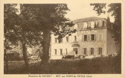 CPA FRANCE 01 "Bey, Domaine du Sauzet".