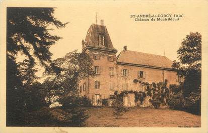 CPA FRANCE 01 " St André de Corcy, Château de Montribloud".