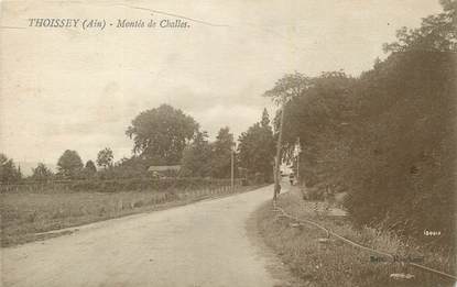 CPA FRANCE 01 " Thoissey, Montée de Challes"