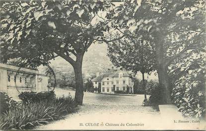 CPA FRANCE 01 " Culoz, Château du Colombier".