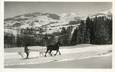 CPSM FRANCE 74 "Megève, Ski Djoëring".