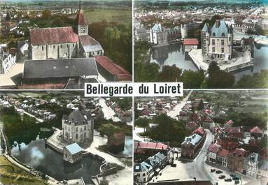 CPSM FRANCE 45 "Bellegarde du Loiret, Vues".