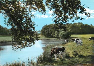 CPSM FRANCE 24 "Echourgnac, Etang de Valézou".