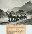 Afrique PHOTO ORIGINALE / AFRIQUE DU SUD "les fermiers sud africains avec leur attelage de mules, 1948"