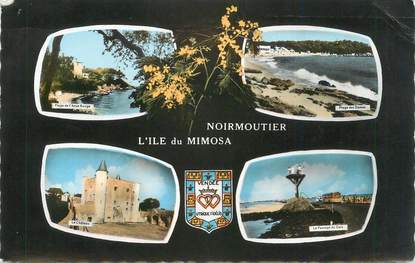 CPSM FRANCE 85 " Noirmoutier, Vues".