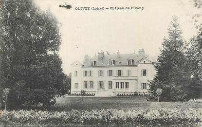CPA FRANCE 45 "Olivet, Château de l'étang".