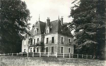 CPSM FRANCE 45 "Vannes sur Cosson, Château de Montambert".