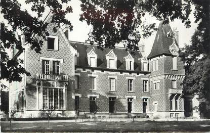 CPSM FRANCE 45 "Vannes sur Cosson, Château de Prepinson".