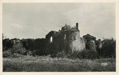 CPSM FRANCE 45 "Nibelle, Château du Hallier".