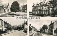 45 Loiret CPSM FRANCE 45 "Cerdon du Loiret, Vues".