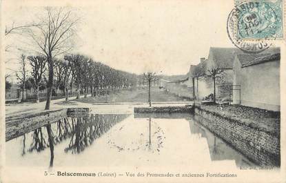CPA FRANCE 45 "Boiscommun, Vue des promenades et anciennes fortifications".