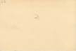 CPA / CDV FRANCE 06 "Nice, Brasserie de Strasbourg, Pr. Magnan & Zoccola"