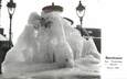 CPSM FRANCE 18 "Henrichemont, La fontaine glacée en février 1956".