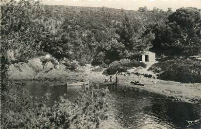 CPSM FRANCE 83 " Ile du Levant, Plage des Titans".