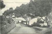 83 Var CPA FRANCE 83 " Ile de Porquerolles, Chemin de la Corniche".