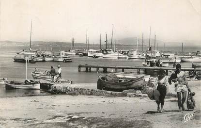 CPSM FRANCE 83 " Ile de Porquerolles, Le port".