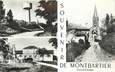 CPSM FRANCE 82 " Montbartier, Vues".
