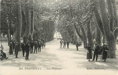 CPA FRANCE 66 "Perpignan, Les platanes".