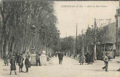 CPA FRANCE 66 "Perpignan, Allée des Marronniers".