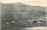 66 PyrÉnÉe Orientale CPA FRANCE 66 " Le Capcir, Pâturages de la Liagone".