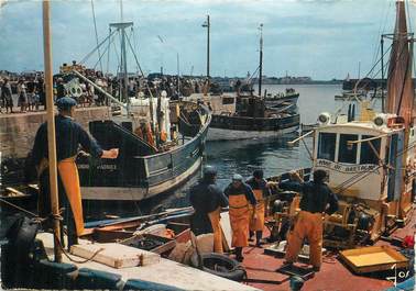 CPSM FRANCE 56 "Quiberon,, Sardiniers à Port Maria".