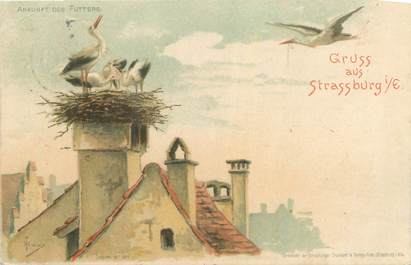 CPA FRANCE 67 "Strasbourg, Cigognes". /GRUSS