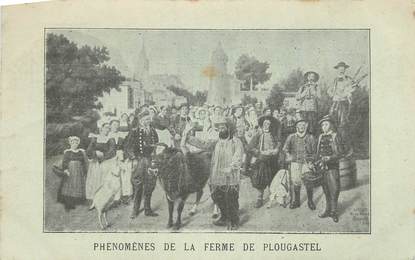 CPA FRANCE 29 "Plougastel, Phénomènes de la ferme ".