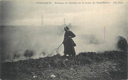 CPA FRANCE 29 "Penmarch, Brûleuse de goémon sur la grève de St Pierre".