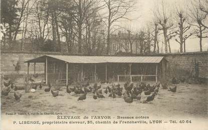 CPA FRANCE 69 "Lyon, Elevage de l'Arvor, bresses noires".