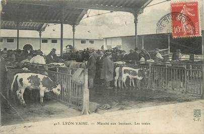 CPA FRANCE 69 "Lyon Vaise, Marché aux bestiaux les veaux". /QUARTIER DE LYON