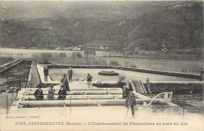 CPA FRANCE 73 "Aiguebelette, Etablissement de pisciculturre au bord du lac".