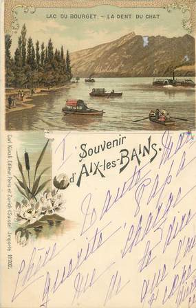 CPA FRANCE 73 "Aix les Bains, Lac du Bourget, La dent du chat".