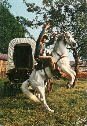 CPSM FRANCE 76 "Ry, Le luna park".