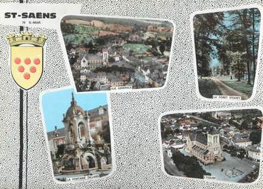 CPSM FRANCE 76 "St Saens, Vues".