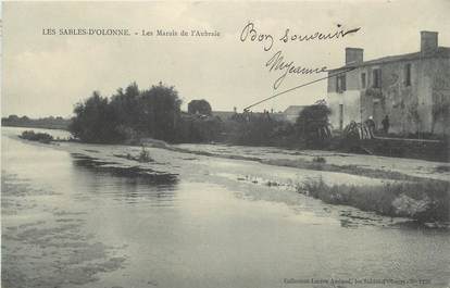 CPA FRANCE 85 " Les Sables d'Olonne, Les Marais de l'Aubraie".