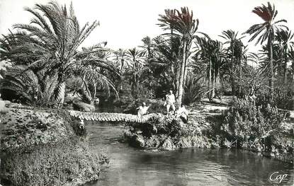 CPSM TUNISIE "Gabès, Pont de Palmier"