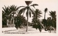 CPA TUNISIE "Gabès, Route de Sfax dans l'Oasis"