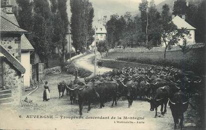 CPA FRANCE 63 " L'Auvergne, Troupeaux descendant de la montagne". / FOLKLORE