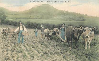 CPA FRANCE 63 " L'Auvergne, Labour et semence de blés". / FOLKLORE