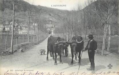CPA FRANCE 63 " L'Auvergne, Attelage Auvergnat". / FOLKLORE