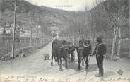 63 Puy De DÔme CPA FRANCE 63 " L'Auvergne, Attelage Auvergnat". / FOLKLORE