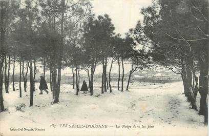 CPA FRANCE 85 " Les Sables d'Olonne, La neige dans les pins".