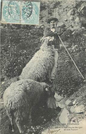 CPA FRANCE 65 " Les Pyrénées, Un jeune berger et son favori". / FOLKLORE