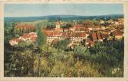 47 Lot Et Garonne CPA FRANCE 47 " Casseneuil, Vue générale".