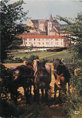 CPSM FRANCE 86 " La Puye, L'abbaye".