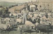 15 Cantal CPA FRANCE 15 " En Auvergne, Pâtre allant au pâturage". / FOLKLORE