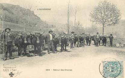 CPA FRANCE 15 " En Auvergne, Retour des champs". / FOLKLORE