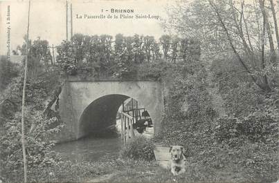 CPA FRANCE 89 " Brienon, La passerelle de la plaine St Loup".