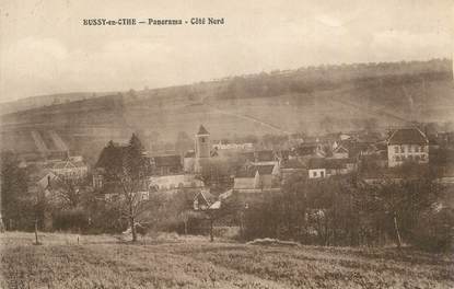 CPA FRANCE 89 " Bussy en Othe, Panorama". / APICULTURE