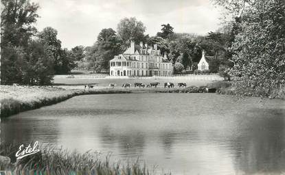 CPSM FRANCE 91 "St Vrain, Le château de Billy".